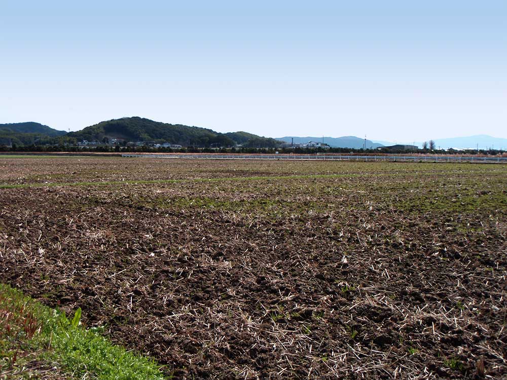 生産地・小竹町